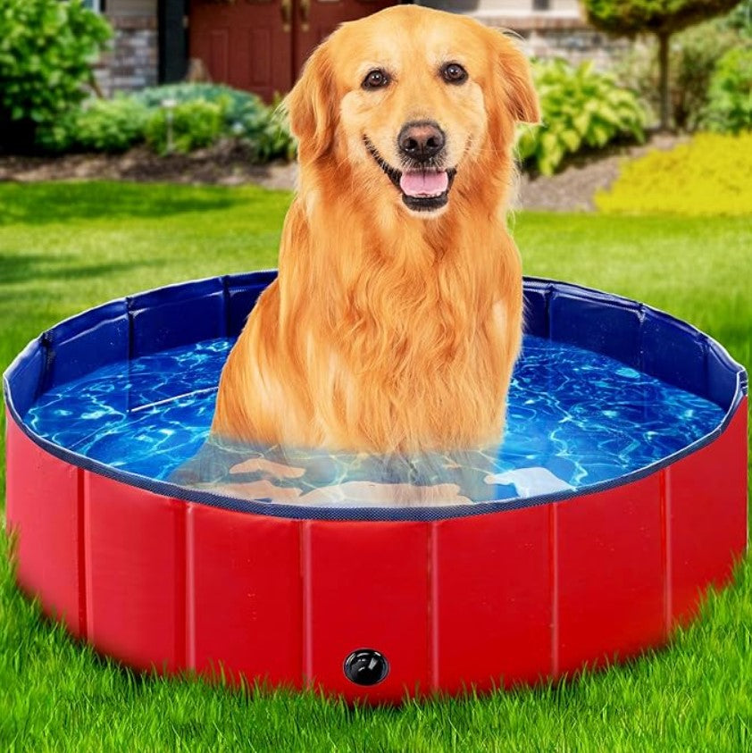 Piscina Plegable Para Mascota 80x20 cm (Mediana)