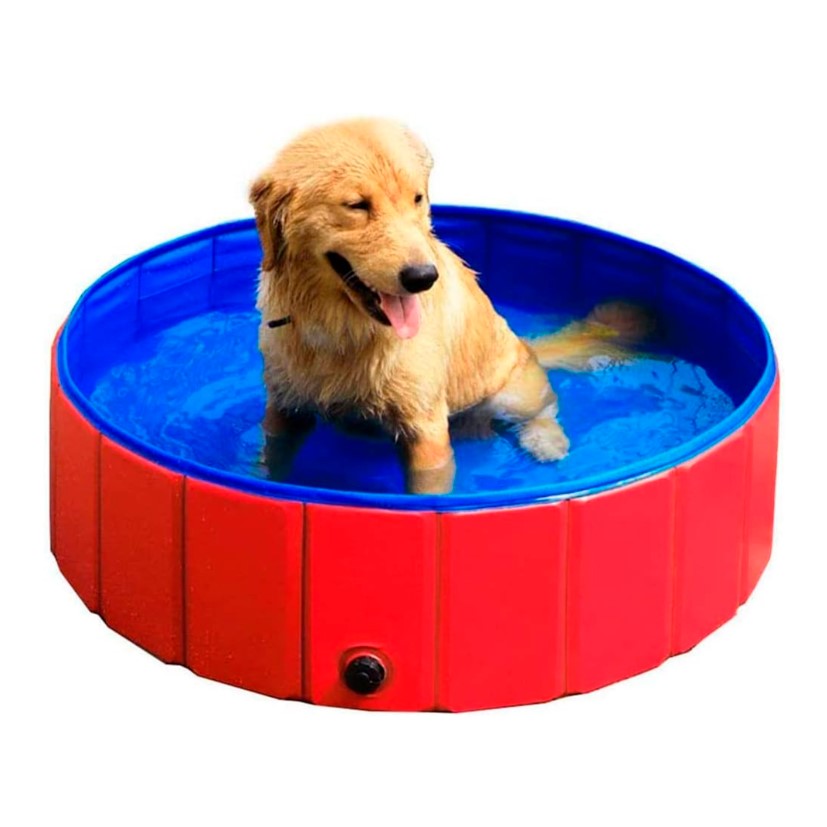 Piscina Plegable Para Mascota 80x20 cm (Mediana)